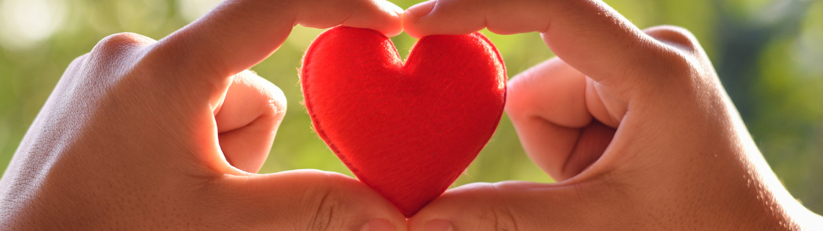 Person holding a heart in their hands